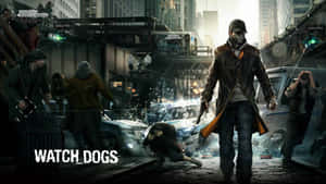 Sleeping Dogs arka planı — Uyuyan köpekler Duvar Kağıdı