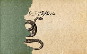 Slytherin Estetiği resimleri