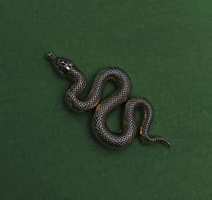 Slytherin Estetiği resimleri