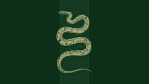 Slytherin Estetiği resimleri