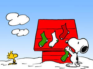 Snoopy Noel Çorapları Duvar Kağıdı