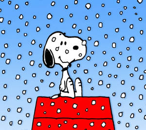 Snoopy Noel Kar Evi Duvar Kağıdı