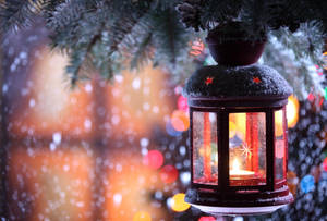 Soğuk Noel fener süslemesi duvar kağıdı