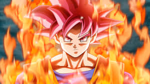 Son Goku ve Vegeta evreni kurtarmak için birlikte çalışıyor! — Dragon ball super GIF Duvar Kağıdı