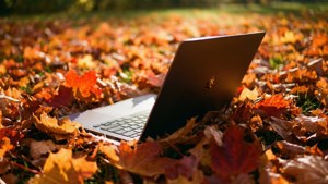 Renkli sonbahar yaprakları arasında sıcak güneş ışığı altında bir Chromebook.