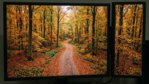 Çift monitör için yukarıdan çekilmiş bir sonbahar ormanı manzarası.