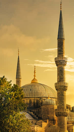 Sultanahmet Camisi Altın Saatler Portresi