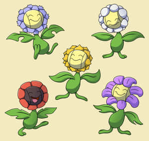 Sunflora ve Diğer Çiçek Varyantları — Çiçekler Duvar Kağıdı