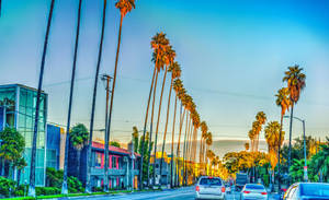 Sunset Boulevard Evleri duvar kağıdı