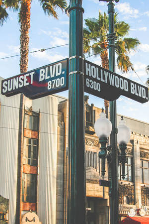 Sunset Boulevard ve Hollywood Boulevard duvar kağıdı