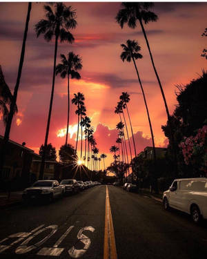 Sunset Boulevard Parlak Turuncu Gökyüzü duvar kağıdı
