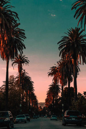 Sunset Boulevard Hollywood Yazısı duvar kağıdı