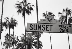 Sunset Boulevard Siyah Beyaz duvar kağıdı
