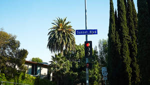 Sunset Boulevard Mavi Tabela duvar kağıdı