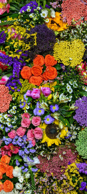 1440x3200 — 1440x3200 Duvar Kağıdı
