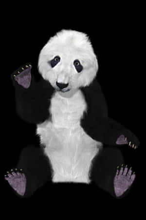 Ters Renkli Panda Peluş — Panda Duvar Kağıdı
