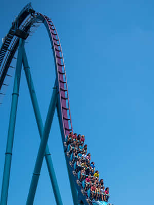 Seaworld Resimleri — iPad 9. Nesil Duvar Kağıdı