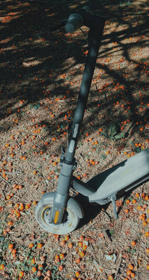 Xiaomi Scooter Bisiklet — Xiaomi Duvar Kağıdı