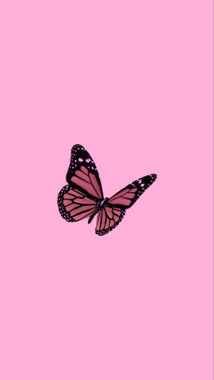 Y2k Estetiği Pembe Kral Kelebeği — Estetik kelebek Duvar Kağıdı