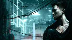 Sleeping Dogs arka planı — Uyuyan köpekler Duvar Kağıdı