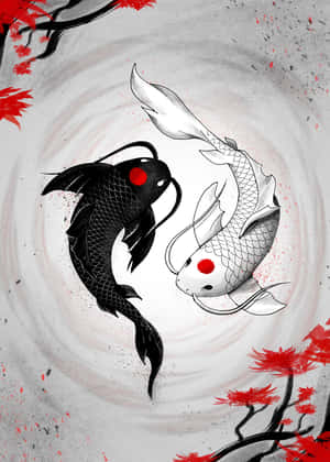 Yin Yang Balık Uyumu — iPhone Duo Duvar Kağıdı