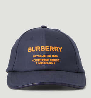 Burberry resimleri — Galaxy Z Flip 8 Duvar Kağıdı