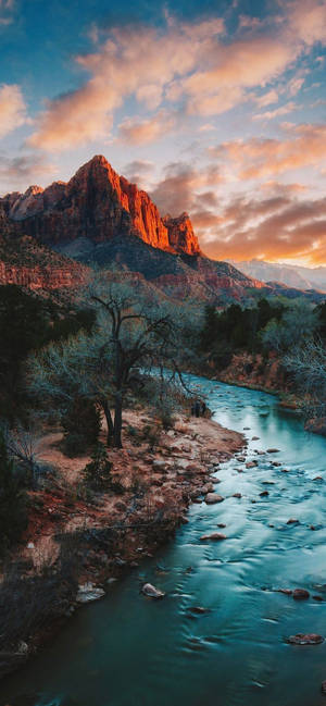 Zion Narrows Bölümü Zion Ulusal Parkı — Doğa iPhone Duvar Kağıdı